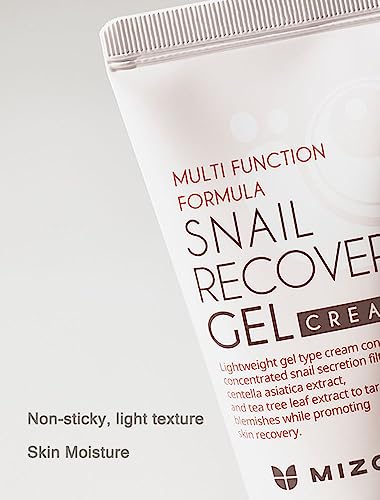 MIZON Snail Recovery Gel Cream: Enhancing Skin Elasticity and Moisture, Fragrance and Paraben-Free.